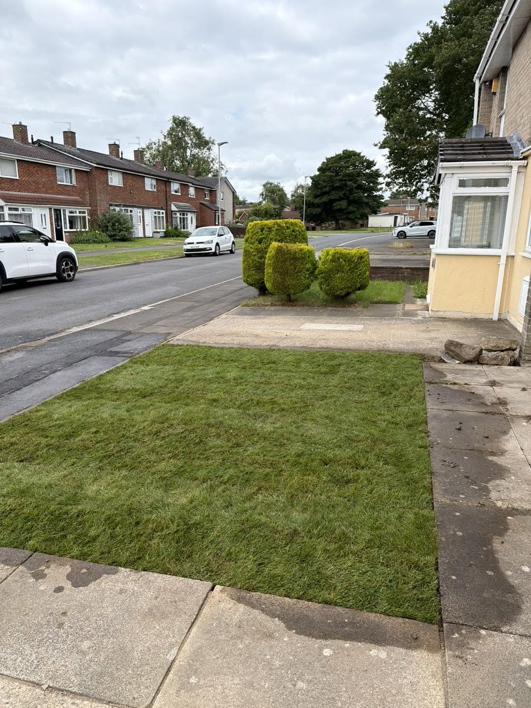 Garden Transformation